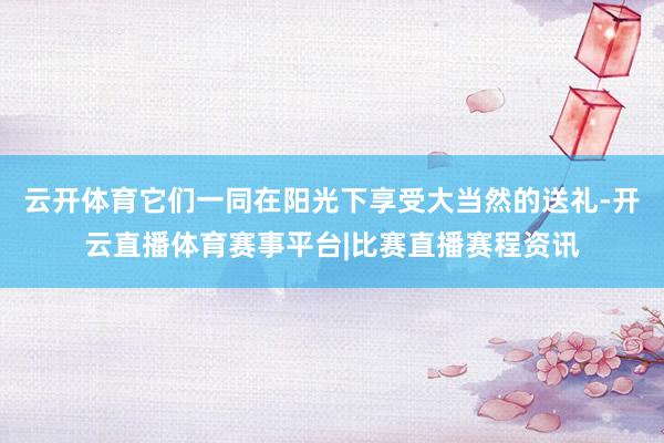 云开体育它们一同在阳光下享受大当然的送礼-开云直播体育赛事平台|比赛直播赛程资讯