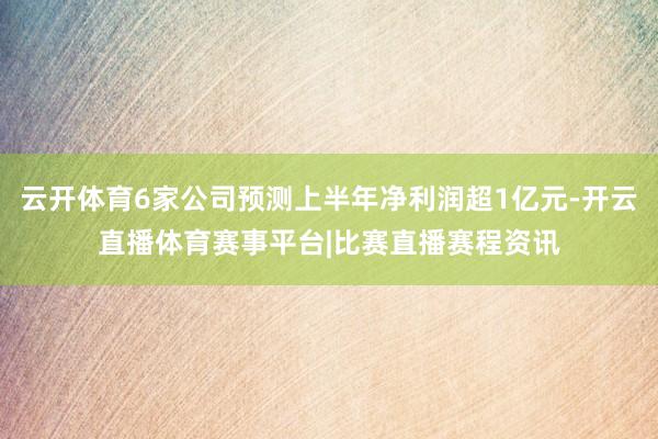 云开体育6家公司预测上半年净利润超1亿元-开云直播体育赛事平台|比赛直播赛程资讯