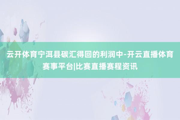 云开体育宁洱县碳汇得回的利润中-开云直播体育赛事平台|比赛直播赛程资讯