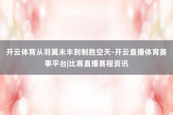 开云体育从羽翼未丰到制胜空天-开云直播体育赛事平台|比赛直播赛程资讯